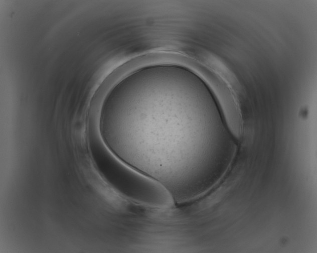 X0000094901284200712131422
