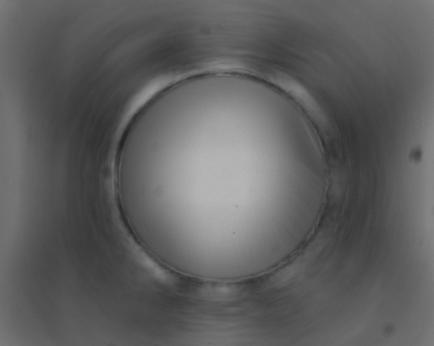 X0000094901286200712131422