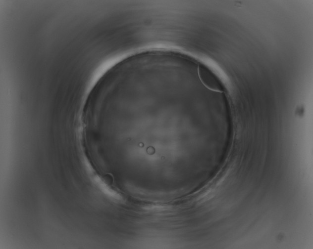 X0000094901287200712131422
