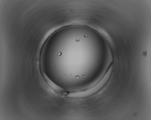 X0000094901288200712131422