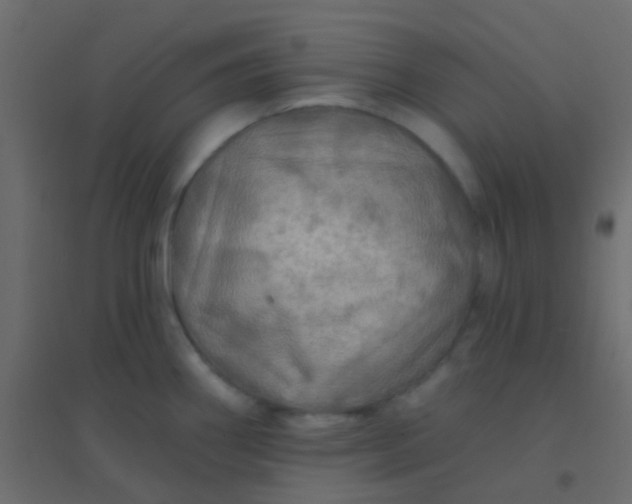 X0000094901290200712131422