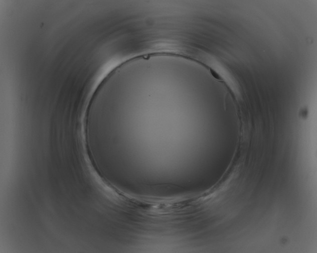X0000094901291200712131422