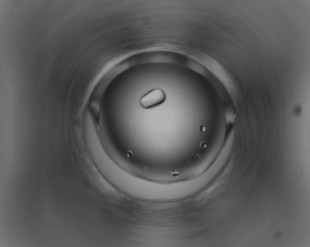 X0000094901292200712131422
