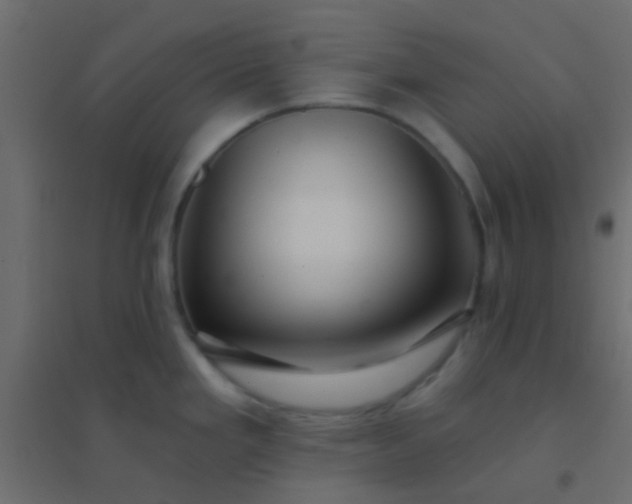 X0000094901293200712131422