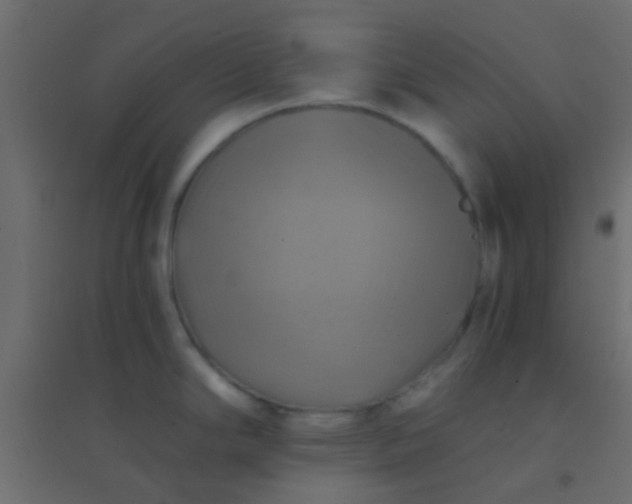 X0000094901294200712131422