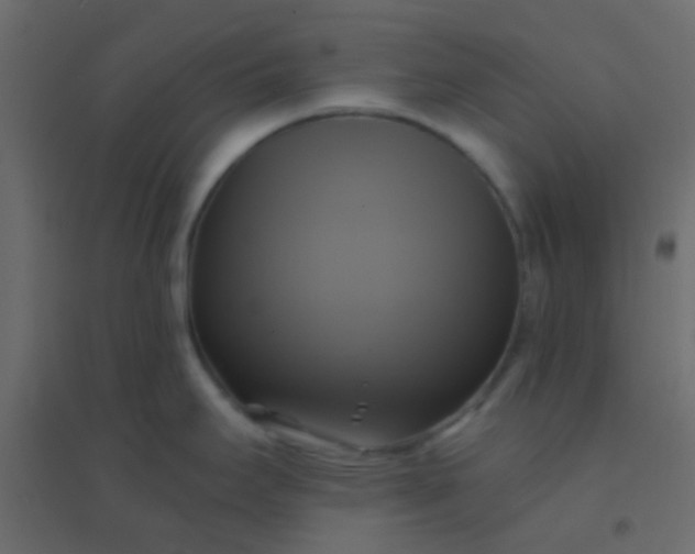 X0000094901295200712131422