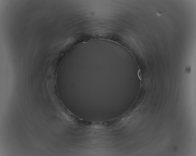 X0000094901297200712131421