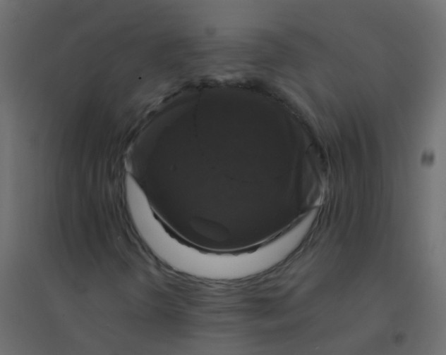 X0000094901298200712131421