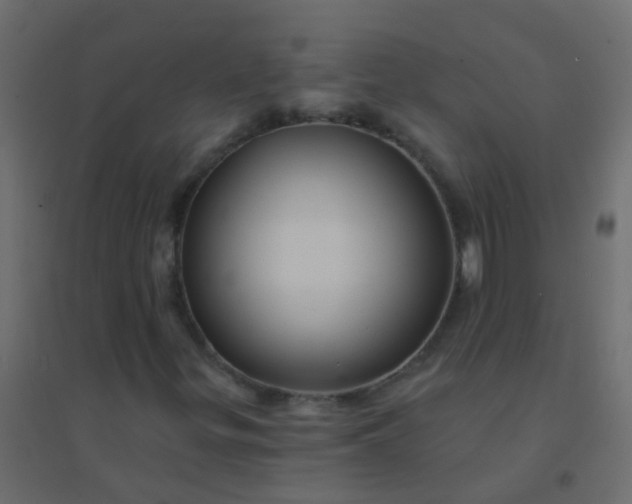 X0000094901299200712131421