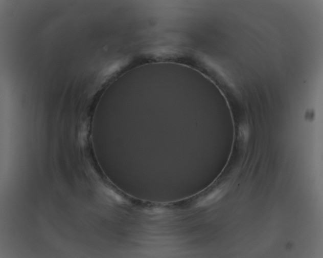 X0000094901300200712131421