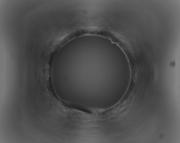 X0000094901301200712131421