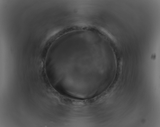 X0000094901302200712131421