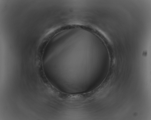X0000094901303200712131421
