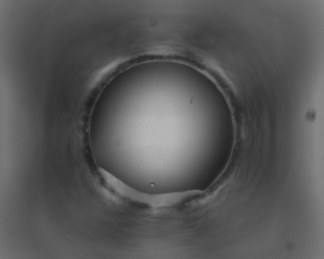 X0000094901304200712131421