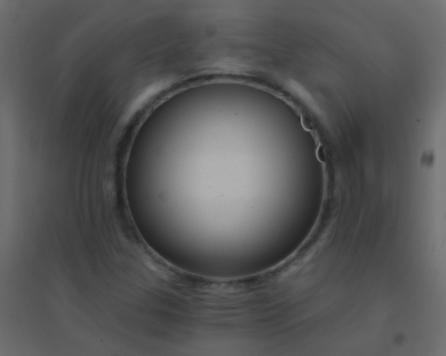 X0000094901307200712131422