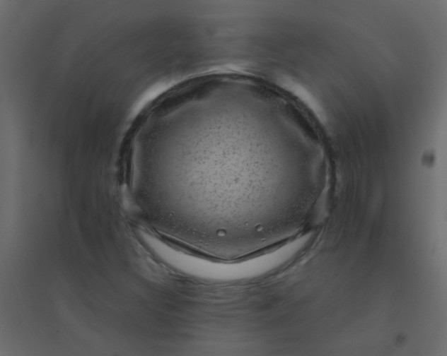 X0000094901308200712131422