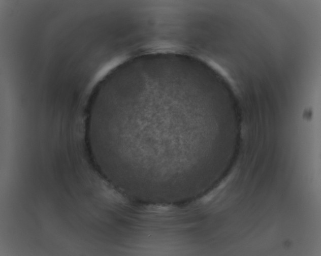 X0000094901309200712131422