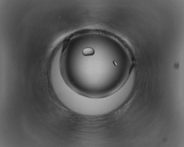 X0000094901311200712131422
