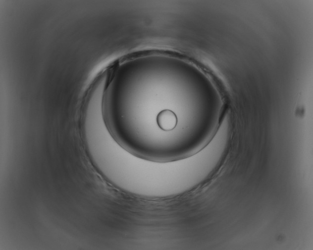 X0000094901312200712131422
