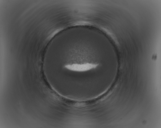 X0000094901313200712131422