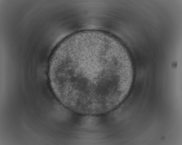 X0000094901314200712131422
