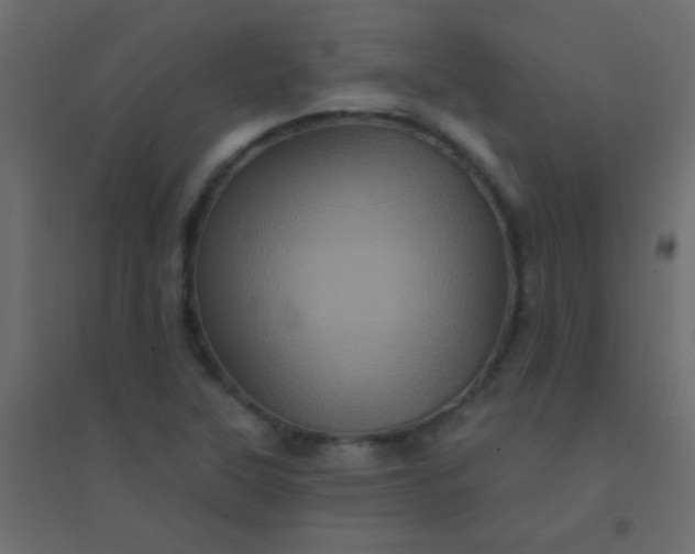 X0000094901315200712131422