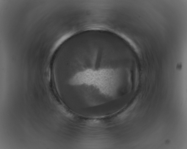 X0000094901317200712131422
