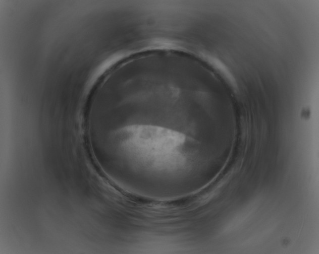 X0000094901318200712131422