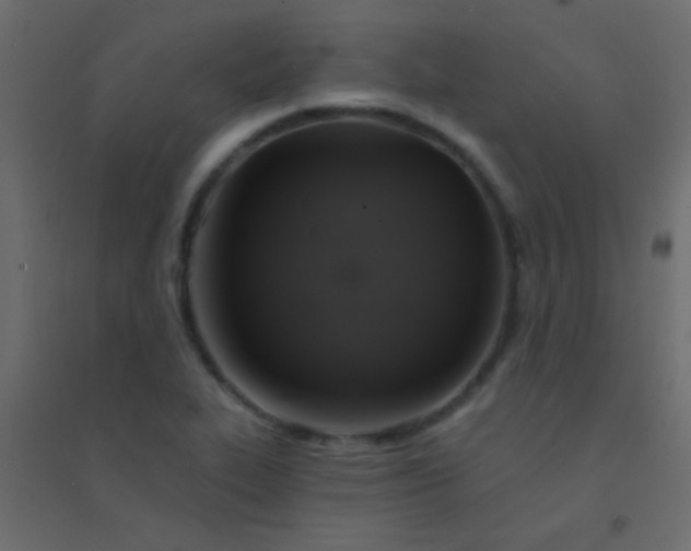X0000094901319200712131422