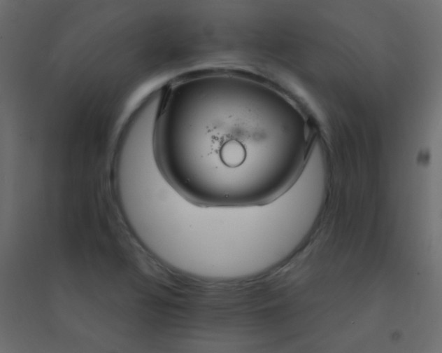 X0000094901320200712131422