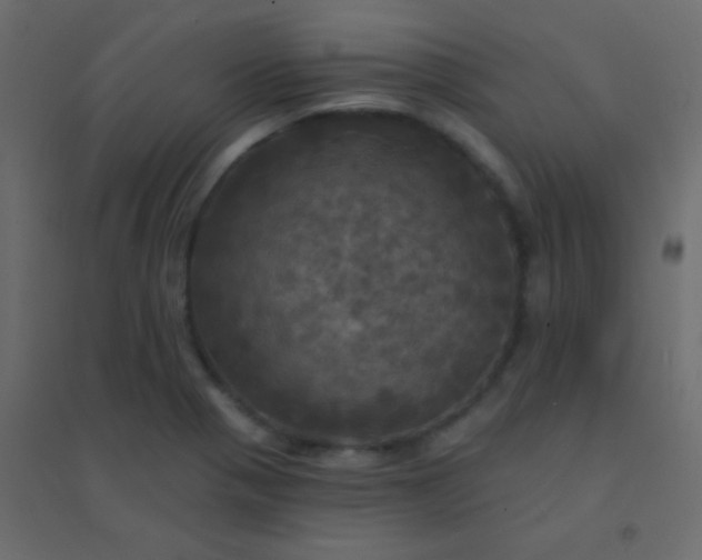 X0000094901321200712131422