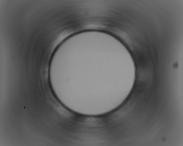 X0000094901322200712131422