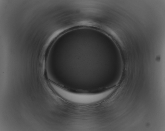 X0000094901323200712131422