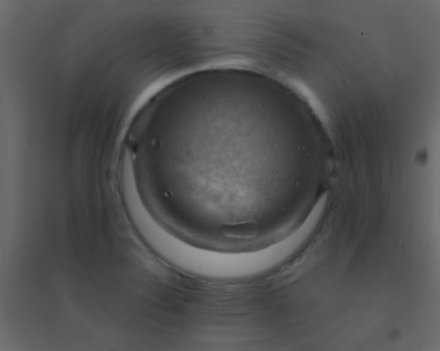 X0000094901324200712131422