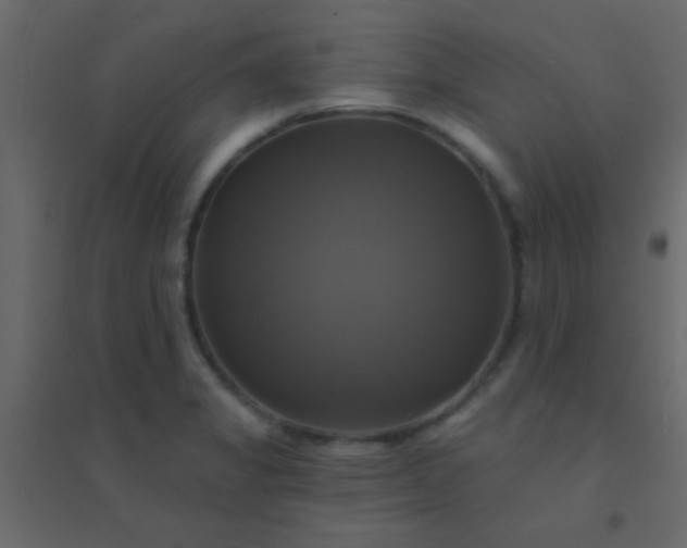 X0000094901325200712131422