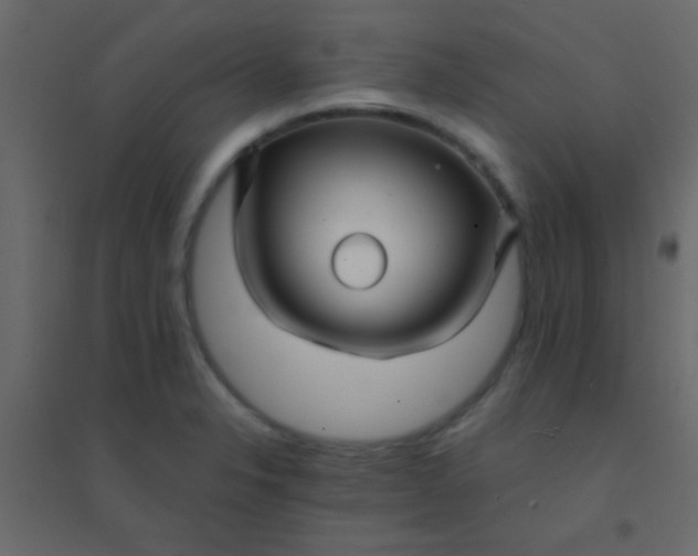 X0000094901326200712131422