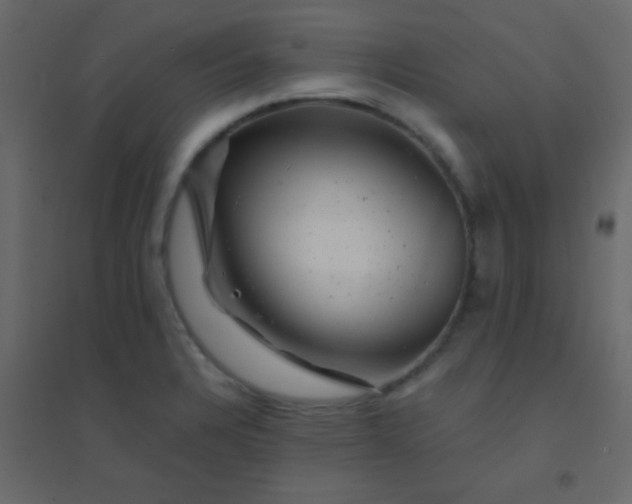 X0000094901328200712131422