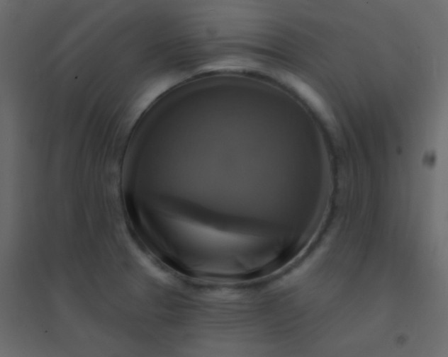 X0000094901329200712131422