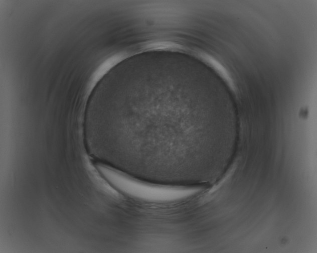 X0000094901330200712131422