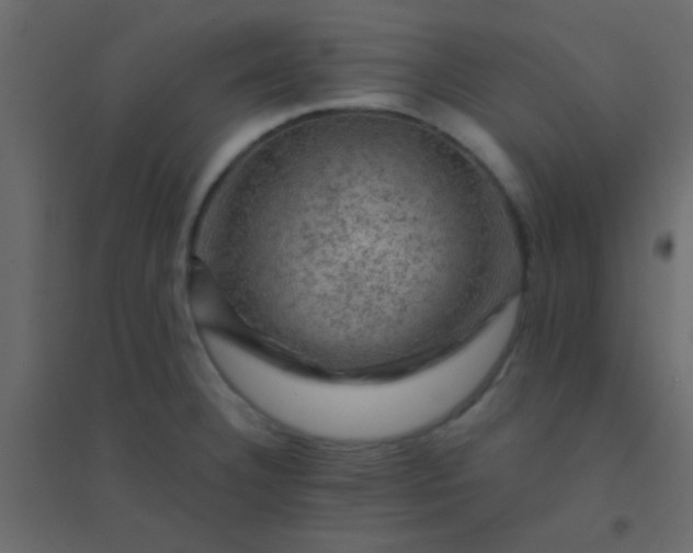 X0000094901332200712131422