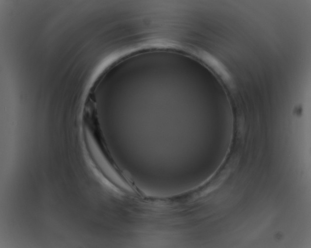 X0000094901334200712131422