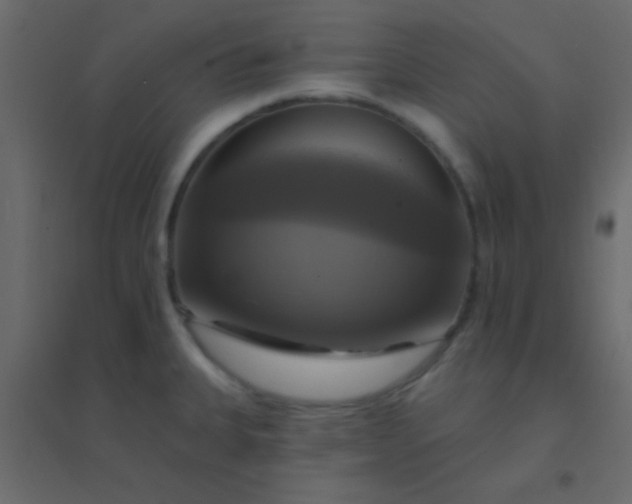 X0000094901335200712131422