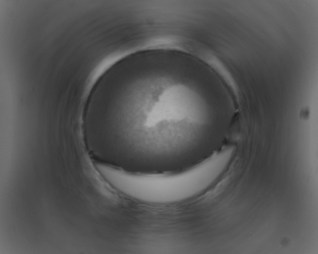 X0000094901336200712131422