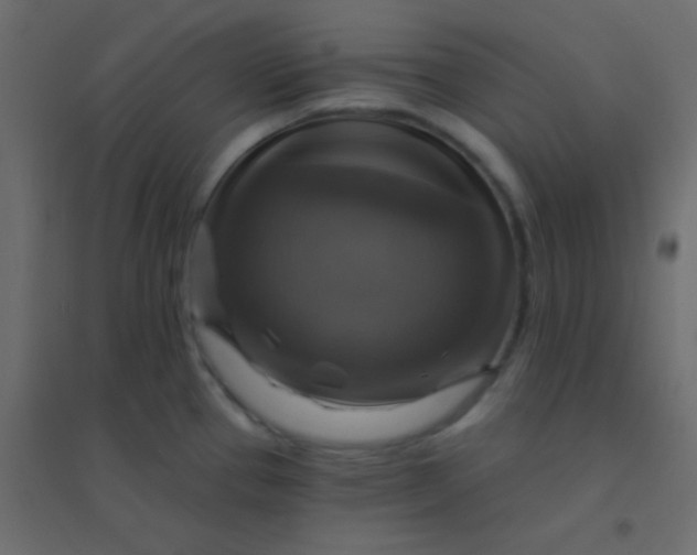 X0000094901337200712131422