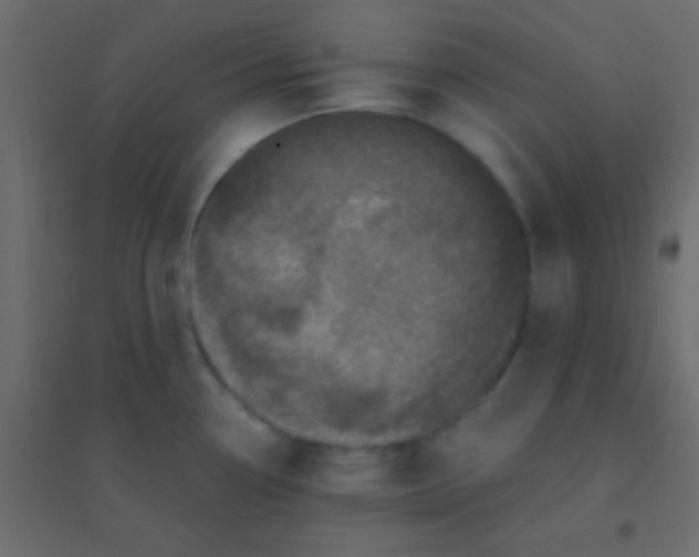 X0000094901338200712131422