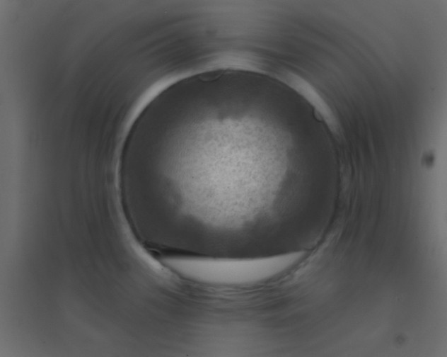X0000094901339200712131422