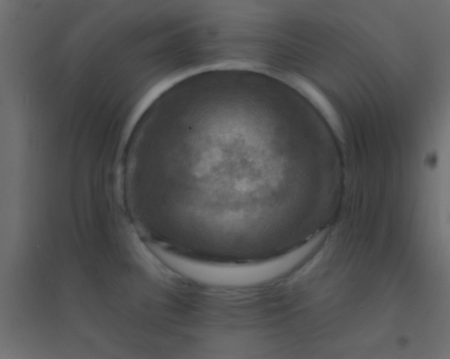 X0000094901340200712131422