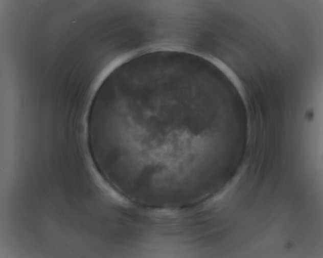 X0000094901341200712131422