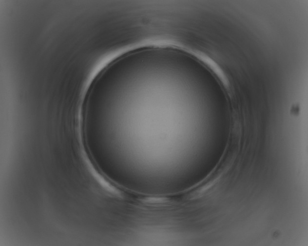 X0000094901343200712131422