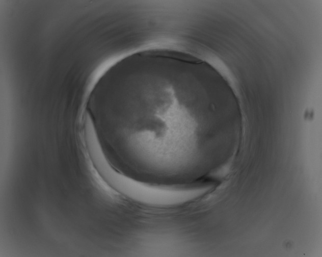 X0000094901344200712131422